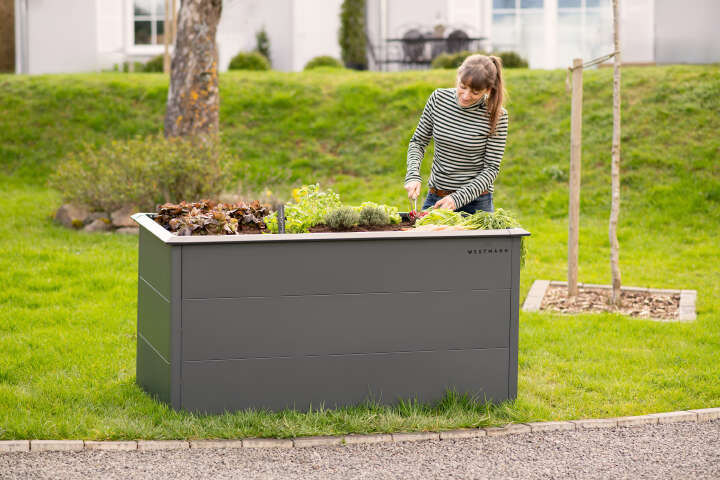 WESTMANN Hochbeet Primus